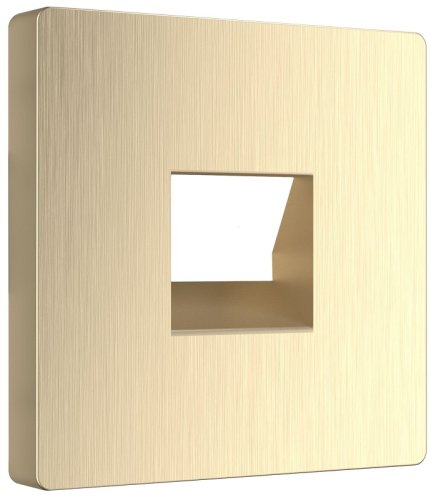 Лицевая панель Werkel для 1-м. розетки RJ11/RJ45 шампань рифленый фото Лицевая панель Werkel для 1-м. розетки RJ11/RJ45 шампань рифленый картинка